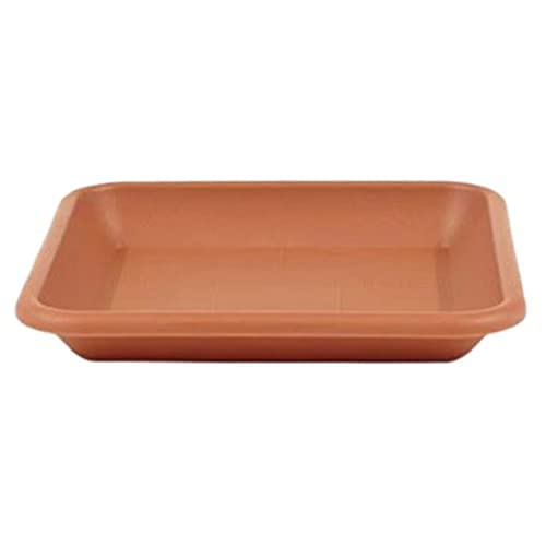 greemotion Blumentopfuntersetzer Jana in Terracotta - Blumen-Untersetzer eckig für Pflanzkübel - Pflanzenuntersetzer quadratisch aus Kunststoff - Pflanzen Untertopf 41 x 41 cm greemotion Blumentopfuntersetzer Jana in Terracotta - Blumen-Untersetzer eckig für Pflanzkübel - Pflanzenuntersetzer quadratisch aus Kunststoff - Pflanzen Untertopf 41 x 41 cm von Greemotion