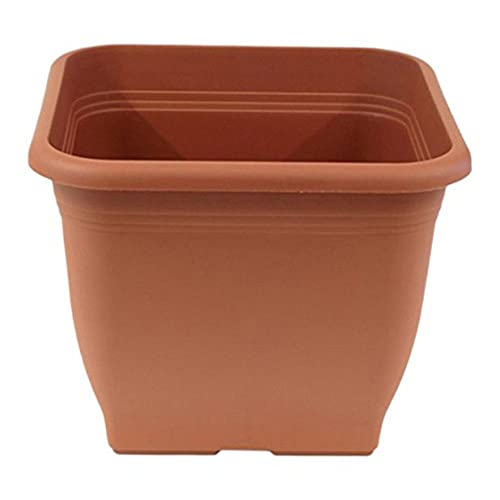 greemotion Pflanzkübel Pia Terrakotta - Blumentopf 23x23cm - 7L Blumenkübel eckig - Übertopf UV-beständiger Kunststoff - Pflanztopf frostsicher - Pflanzgefäß mit Bodenlöchern - Pflanzen-Zubehör von Greemotion