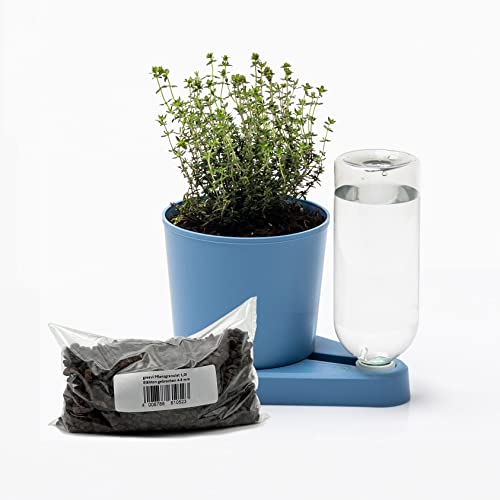 greevi Kräuterheld & 1l Pflanzgranulat | Selbstbewässernder Pflanztopf für Küchenkräuter | Made in Germany | Kunststoff (Standard, Pastellblau) von greevi
