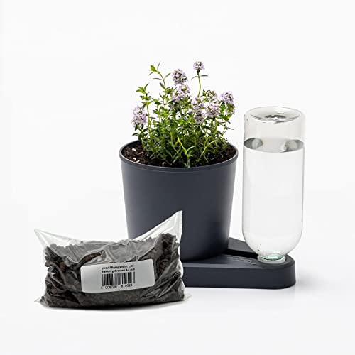 greevi Kräuterheld & 1l Pflanzgranulat | Selbstbewässernder Pflanztopf für Küchenkräuter | Made in Germany | Kunststoff (Standard, anthrazit) von greevi