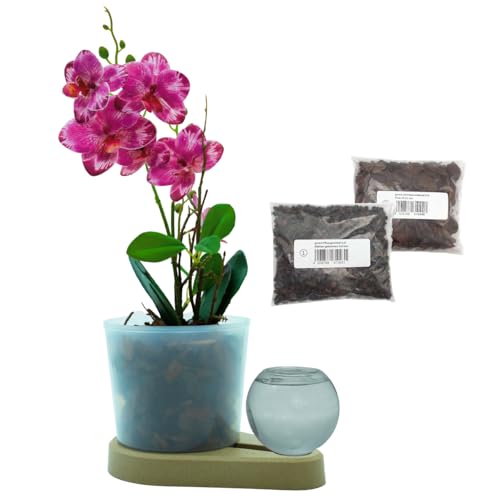 greevi Orchideenheld inklusive Pflanzgranulat und Orchideensubstrat | Selbstbewässernder Pflanztopf für Orchideen | Made in Germany | Kunststoff (Bio-Greige) von greevi
