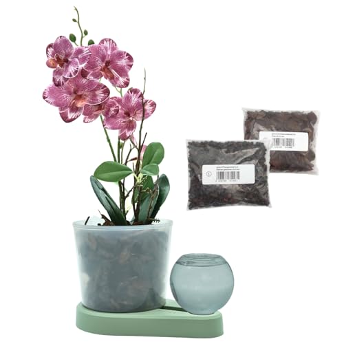 greevi Orchideenheld inklusive Pflanzgranulat und Orchideensubstrat | Selbstbewässernder Pflanztopf für Orchideen | Made in Germany | Kunststoff (hellgrün) von greevi