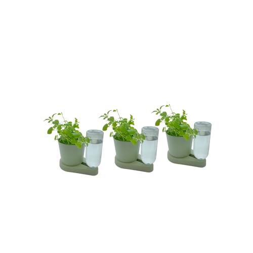 greevi kräuterheld 3er Set | Kräutertöpfe mit Selbstbewässerungssystem | Made in Germany | Kunststoff (Bio-Kunststoff, hellgrün) von greevi
