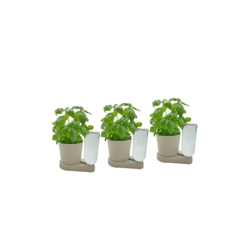 greevi kräuterheld 3er Set | Kräutertöpfe mit Selbstbewässerungssystem | Made in Germany | Kunststoff (Standard, Greige) von greevi