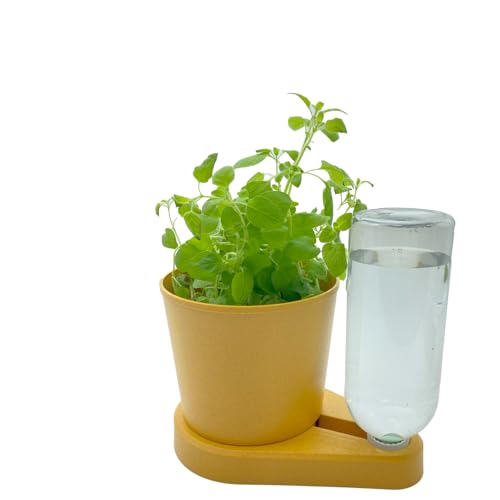 greevi kräuterheld | Selbstbewässernder Pflanztopf für Küchenkräuter | Made in Germany | Kunststoff (Bio-Kunststoff, gelb) von greevi