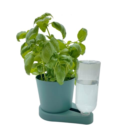 greevi kräuterheld | Selbstbewässernder Pflanztopf für Küchenkräuter | Made in Germany | Kunststoff (Standard, dunkelgrün) von greevi