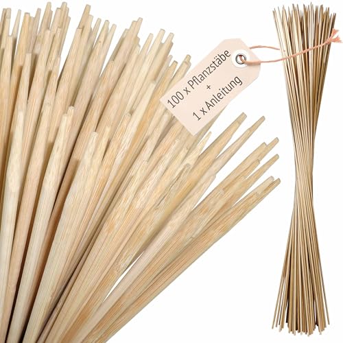 ORANGE DEAL 100 Pflanzstäbe, Bambusstäbe 90 cm x 6 mm Dm, Pflanzenstütze, Rankhilfe für Pflanzen, Pflanzstab, Pflanzenstab, Bambus Stäbe Holz, Tomatenstangen, Pflanzenstützen von ORANGE DEAL