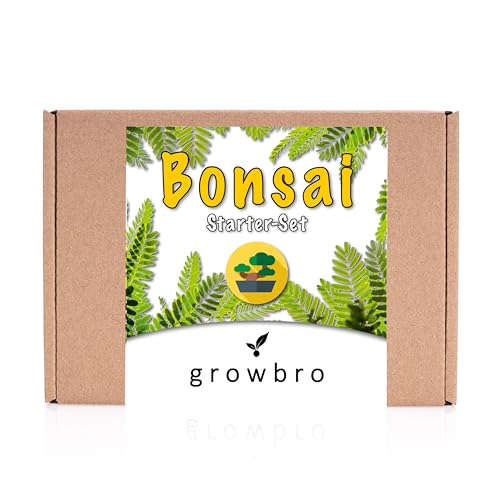 Bonsai Wisteria Anzuchtset inkl. Achtsamkeitskarten von growbro, ZÜCHTE DEINEN EIGENEN BONSAI BRO, Bonsai Starter Kit inkl. Samen, Sprühflasche, uvm. von growbro