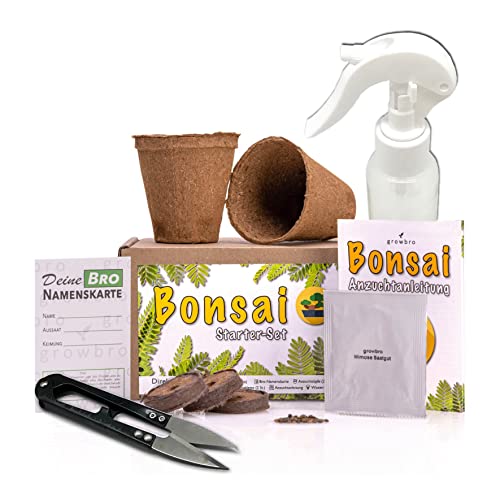 Bonsai - growbro - Wisteria Grow Kit - GROW YOUR OWN BONSAI BRO, gifts for women and men, Bonsai Starter Kit incl. seeds, spray bottle, and much more von growbro