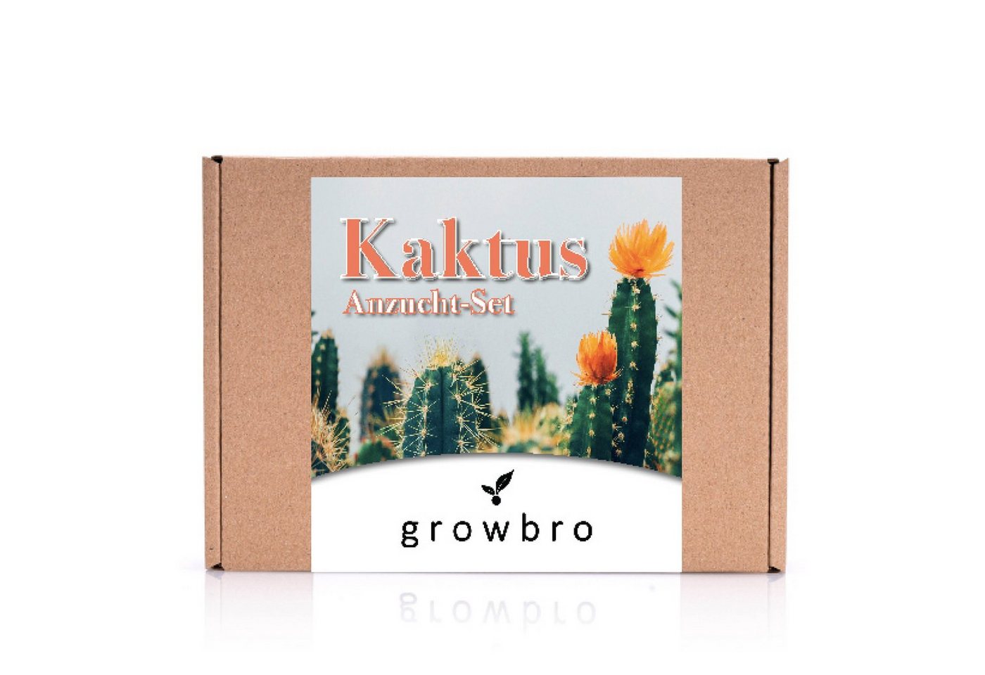 Kunstkaktus KAKTUS Anzuchtset inkl. Sprühflasche PERFEKTES GESCHENK, growbro, - Bekannt aus Social Media von growbro