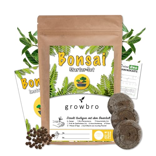 growbro - Bonsai Light Anzuchtset - Züchte deinen neuen BRO # kleines Geschenk # Bonsai Geschenk # Bonsai Samen # TikTok Trend von growbro