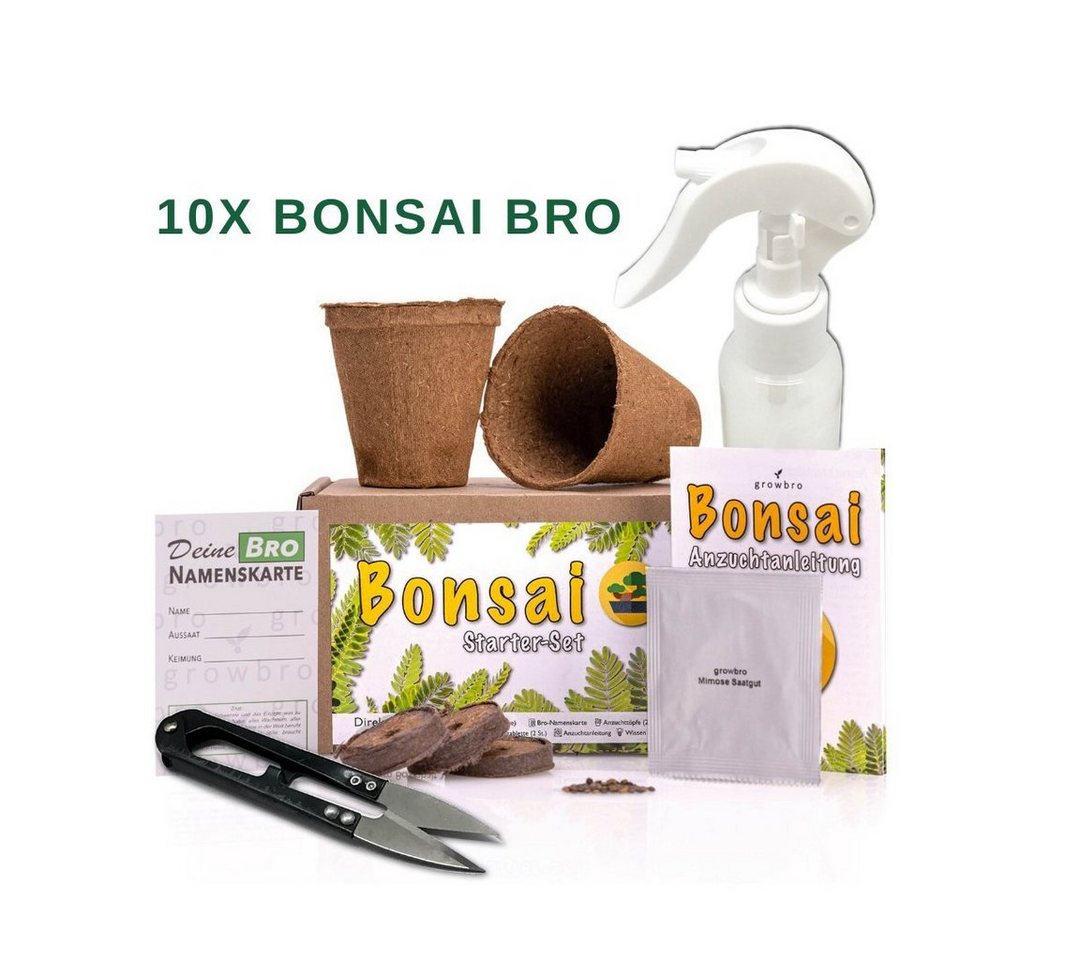 Gestecke 10 X Bonsai Wisteria Anzuchtset - Züchte deinen eigenen Bonsai, growbro von growbro
