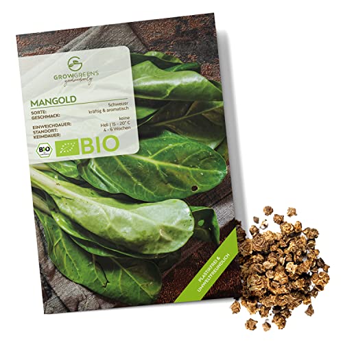 BIO Mangold Samen (Schweizer, 75 Korn) - Mangold Saatgut aus biologischem Anbau ideal für die Anzucht im Garten, Balkon oder Terrasse von growgreens