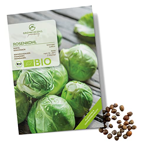 BIO Rosenkohl Samen (Groninger, 30 Korn) - Rosenkohl Saatgut aus biologischem Anbau ideal für die Anzucht im Garten, Balkon oder Terrasse von growgreens