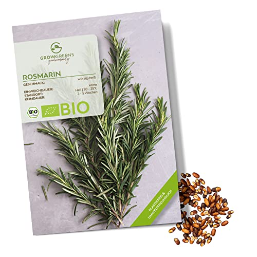 BIO Rosmarin Samen - Heilkräuter Saatgut aus biologischem Anbau ideal für den heimischen Kräutergarten, Balkon & Garten (40 Korn) von growgreens