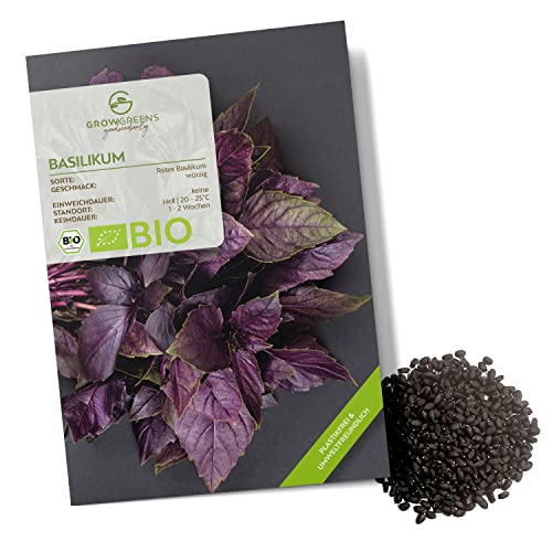 Bio Basilikum Samen Rot - Küchenkräuter Saatgut aus biologischem Anbau ideal für den heimischen Kräutergarten, Balkon & Garten (400 Korn) von growgreens