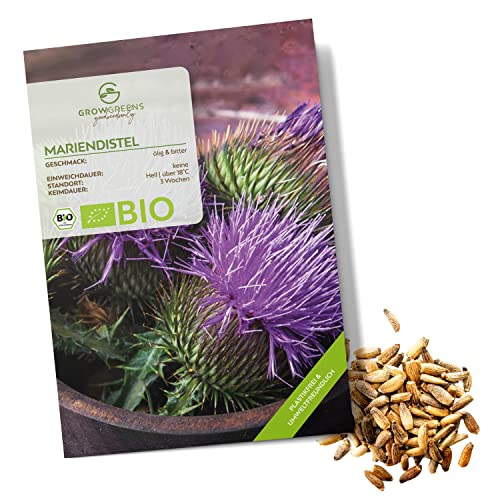 BIO Mariendistel Samen - Heilkräuter Saatgut aus biologischem Anbau ideal für den heimischen Kräutergarten, Balkon & Garten (50 Korn) von growgreens