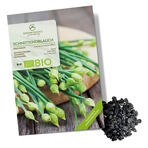 BIO Schnittknoblauch Samen - Küchenkräuter Saatgut aus biologischem Anbau ideal für den heimischen Kräutergarten, Balkon & Garten (50 Korn) von growgreens