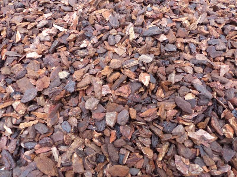 gruenwaren jakubik Pinienrinde 70 Liter Premium Pinienrinde Bodengrund 2-8-mm von gruenwaren jakubik