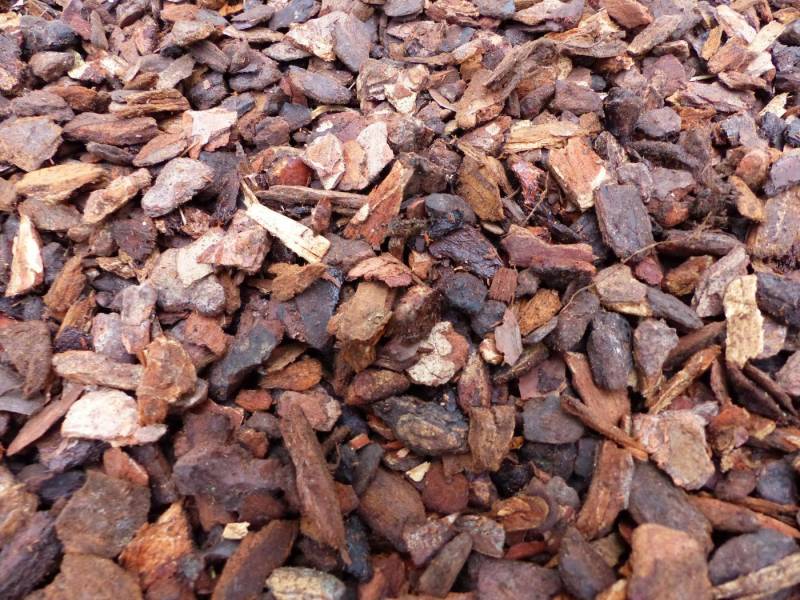 gruenwaren jakubik Pinienrinde 70 Liter Premium Pinienrinde Bodengrund 20-40 mm gruenwaren jakubik Pinienrinde 70 Liter Premium Pinienrinde Bodengrund 20-40 mm von gruenwaren jakubik