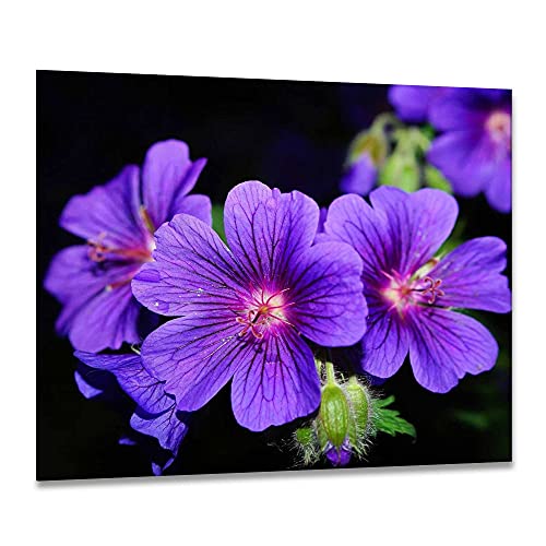 gsmarkt | Herdabdeckplatten Ceranfeldabdeckung Spritzschutz Glas 60x52 Blumen Violett Natur von gsmarkt