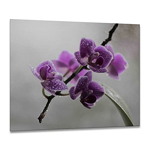 gsmarkt | Herdabdeckplatten Ceranfeldabdeckung Spritzschutz Glas 60x52 Blumen Violett Orchidee von gsmarkt