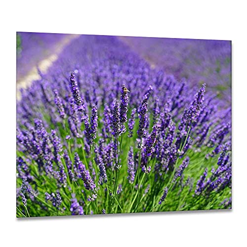 gsmarkt | Herdabdeckplatten Ceranfeldabdeckung Spritzschutz Glas 60x52 Lavendel Violett Blumen von gsmarkt