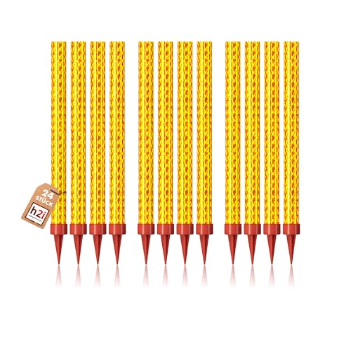 24 Stück je 18 cm h2i "XS" Pack Eissterne Eisfontäne Sprühkerze für Verlobung-Hochzeit-Geburtstag Jugend-Party-Tisch-Feuerwerk Deko für Kuchen Torten Flaschen + unser h2i & eissterne Feuerzeug von h2i