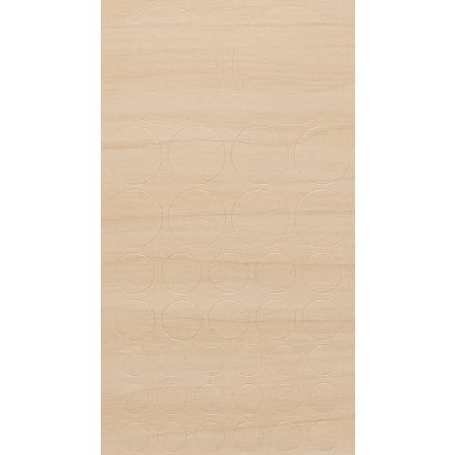 haggiy Selbstklebende Abdeckkappen für Möbel & Böden - Schraubenabdeckungen - Rund - Abdeckung f. Schrauben & Bohrlöcher - Mix Ø 10-40 mm - 38 Stück - Möbelpflaster (Birke Mainau) von haggiy