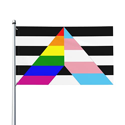 Garden Flag Straight Ally Transgender Rainbow Pride Garten Fahne Lichtbeständige Dekorative Fahnen Langlebig Pride Flag Für Indoor Outdoor Aktivitäten Veranda 90x150 cm von haikoushiyonglihuashangmaoyouxiangongsi1