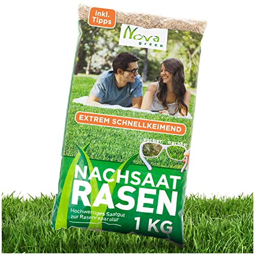 Rasensamen Nachsaat schnellkeimend, schließt extrem schnell Lücken im Gras und frischt älteren Rasen auf | Inkl. Anleitung | Für eine dichte, extra grüne und einheitliche Rasenfläche, Reparatur von halmland