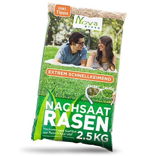 Rasensamen Nachsaat schnellkeimend, schließt extrem schnell Lücken im Gras und frischt älteren Rasen auf | Inkl. Anleitung | Für eine dichte, extra grüne und einheitliche Rasenfläche, Reparatur von halmland