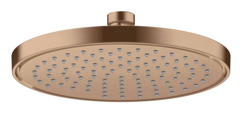 hansgrohe Kopfbrause Axor ShowerSolutions 220, 1jet EcoSmart+ von hansgrohe