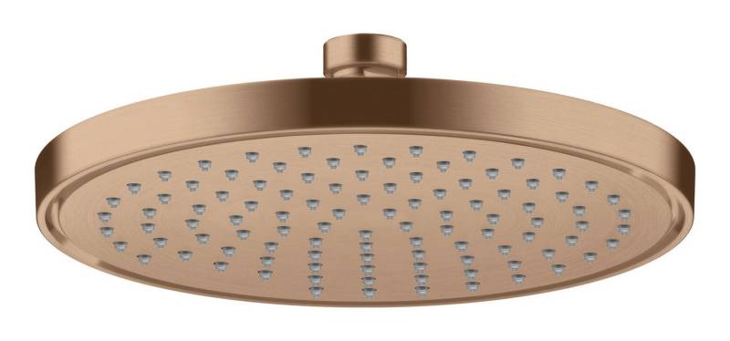 hansgrohe Kopfbrause Axor ShowerSolutions 220, 1jet von hansgrohe