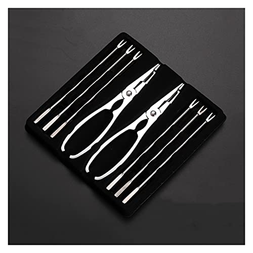 Hummer Edelstahl-Meeresfrüchte-Werkzeug-Set beinhaltet 2 Hummer-Krabbenbein-Cracker und 6 Meeresfrüchte-Gabeln Schönes Geschenk für Freunde und Familie Hummerbesteck von hanxiaoyishop