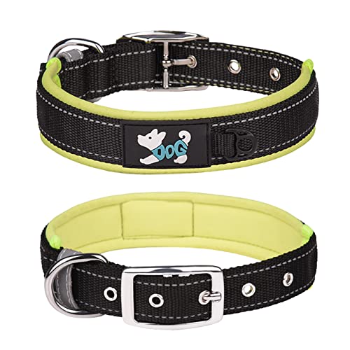 Haoyueer Bequemes weiches Neopren gepolstertes Hundehalsband, reflektierendes Haustierhalsband, verstellbares, strapazierfähiges Nylon-Hundehalsband für alle Rassen große Hunde (S, Grün) von haoyueer