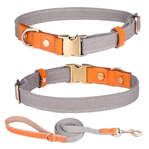 Haoyueer Hundehalsband aus Nylon, mit Metall-Sicherheitsschnalle, verstellbarem Leder und Nylon-Haustierhalsbänder und Leine für kleine, mittelgroße und große Hunde (Größe L, Grau) von haoyueer