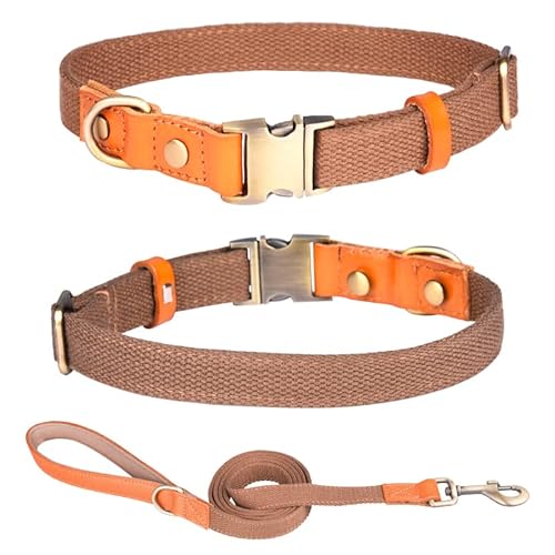 Haoyueer Hundehalsband aus Nylon, mit Metall-Sicherheitsschnalle, verstellbarem Leder und Nylon-Haustierhalsbänder und Leine für kleine, mittelgroße und große Hunde (L, Braun) von haoyueer