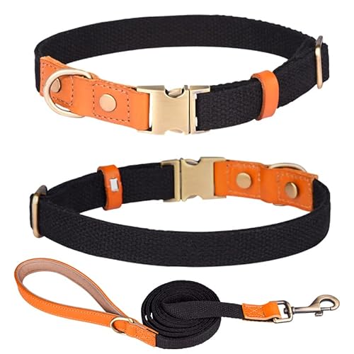 Haoyueer Hundehalsband aus Nylon, mit Metall-Sicherheitsschnalle, verstellbarem Leder und Nylon für Haustierhalsbänder und Leine für kleine, mittelgroße und große Hunde (Größe M, Schwarz) von haoyueer