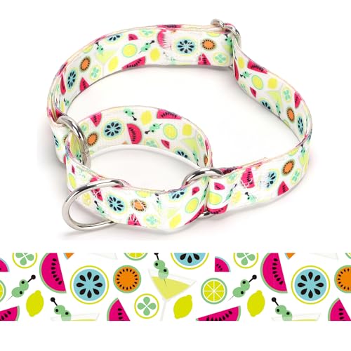 haoyueer Martingale Hundehalsband, Blume, mehrfarbig, niedliche Muster, verstellbares Nylon, geeignet für Jungen und Mädchen, mittelgroße und große Hunde (6, L) von haoyueer