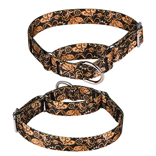haoyueer Martingale-Hundehalsband, robust, Nylon, verstellbar, für Spaziergänge, Training, Jungen und Mädchen (L: 45–53 cm, Gold) von haoyueer