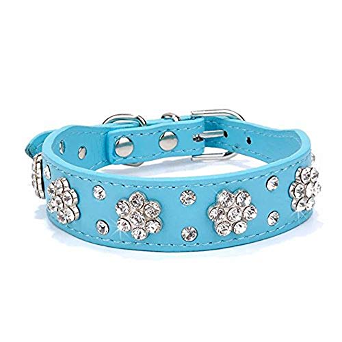 haoyueer Strass Hundehalsband, Niedliche Blume Strass Katzen Hundehalsband Bling Halsband PU Leder Halsband Verstellbare Größen Small Medium Large (S, Blau) von haoyueer