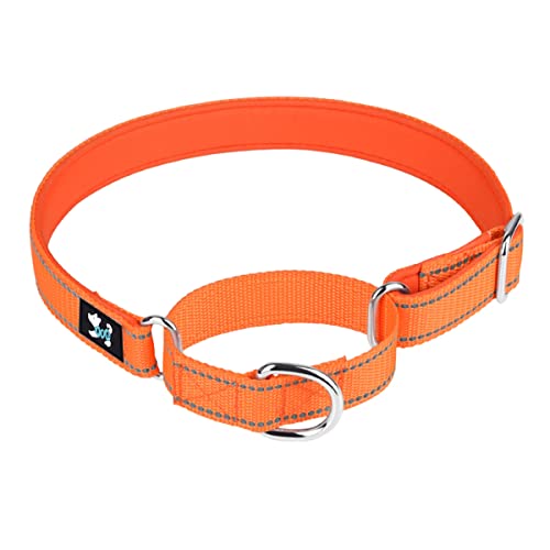 haoyueer Verstellbares Martingale Sicherheitstraining-Hundehalsband, weiches Neopren gepolstertes, atmungsaktives Nylon-Haustierhalsband für kleine, mittelgroße und große Hunde (L, Orange) von haoyueer