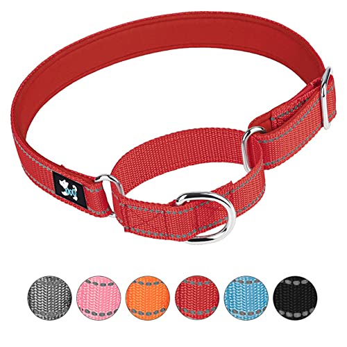 haoyueer Verstellbares Martingale Sicherheitstraining-Hundehalsband, weiches Neopren gepolstertes, atmungsaktives Nylon-Haustierhalsband für kleine, mittelgroße und große Hunde (L, Rot) von haoyueer