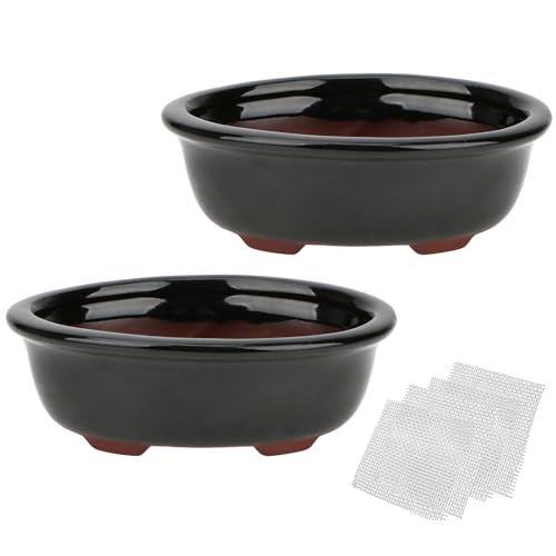 2er Set Zisha Keramik Bonsai Topf Glasiert Flach Sukkulenten Übertopf Schwarz von happy bonsai