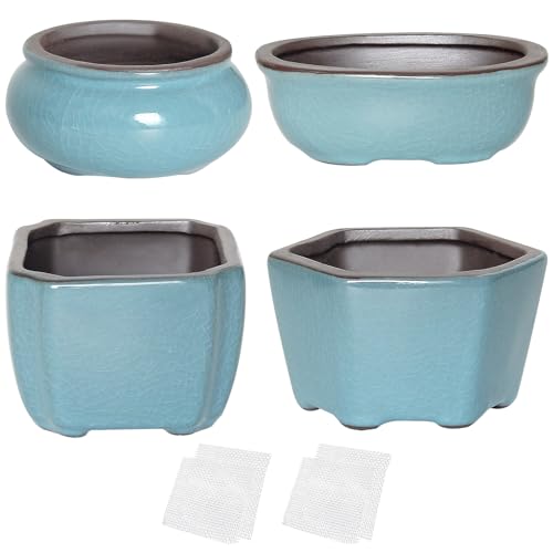 Bonsai Pflanzgefäß Mini glasierte Töpfe Sukkulenten Wert 4er Set mit 4 weichen Netz-Drainage-Sieben von happy bonsai