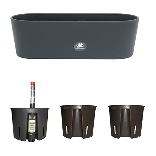 happy nature Set5 Kunststoff Flori Pflanzschale schwarz für Hydrokultur L 36.0 cm B 13.5 cm H 11.0 cm von happy nature