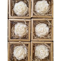 Pfingstrosen Kerze in Box | Geschenkbox I Blumen Geschenkidee Gastgeschenk Valentinstag Hochzeit Einweihung Jubiläum von happycandleberlin