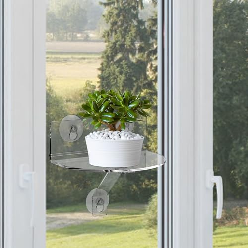 harupink Acryl Fenster Pflanzenregale,2 Stück Transparent Regal Saugnapf 20 cm,Keine Notwendigkeit Drilling,Fensterwand-Pflanzenständer für Innengärten,Blumen,Sukkulenten,Kräuter und Blumentöpfe harupink Acryl Fenster Pflanzenregale,2 Stück Transparent Regal Saugnapf 20 cm,Keine Notwendigkeit Drilling,Fensterwand-Pflanzenständer für Innengärten,Blumen,Sukkulenten,Kräuter und Blumentöpfe von harupink