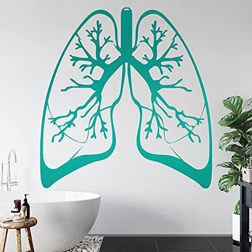 KIWISTAR Lunge Atmung Medizin Organ Luftsäcke Wandtattoo in 6 Größen - Wandaufkleber Wall Sticker - Dekoration, Küche, Wohnzimmer, Schlafzimmer, Badezimmer von hauptsachebeklebt